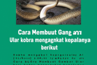 Cara Membuat Gambar Ular kobra mengangkat kepalanya menggunakan AI (Stable Diffusion) berikut Contoh Prompt